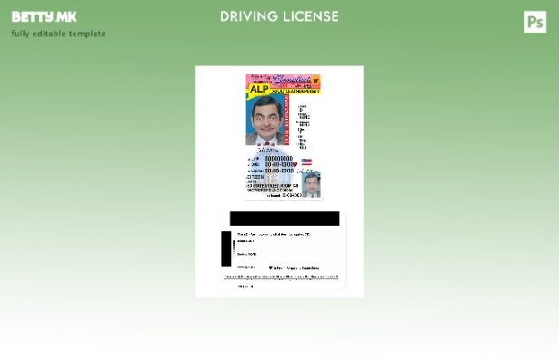 Возачка дозвола во модерен стил САД Конектикат под шаблон